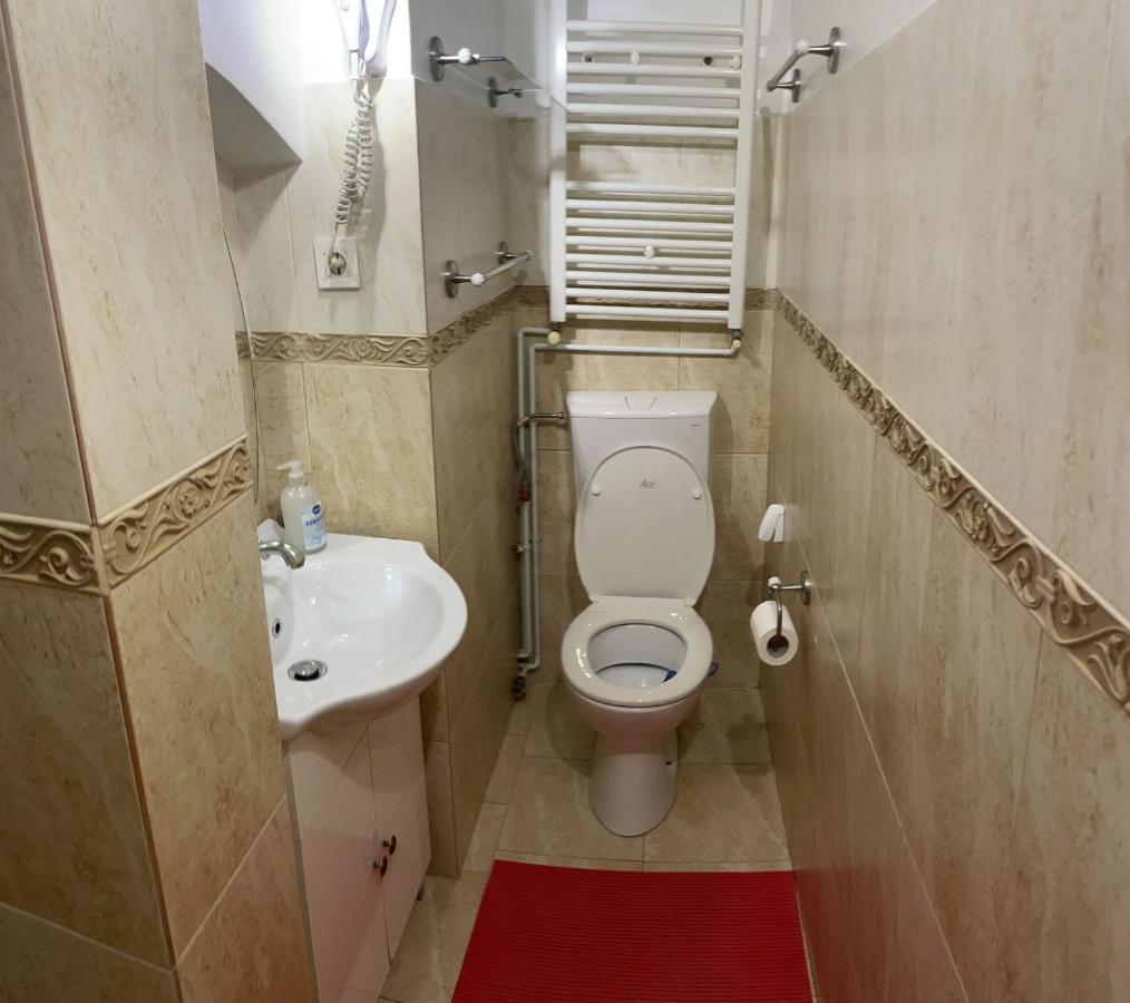 Dominic Studio Apartment Sibiu Exterior photo