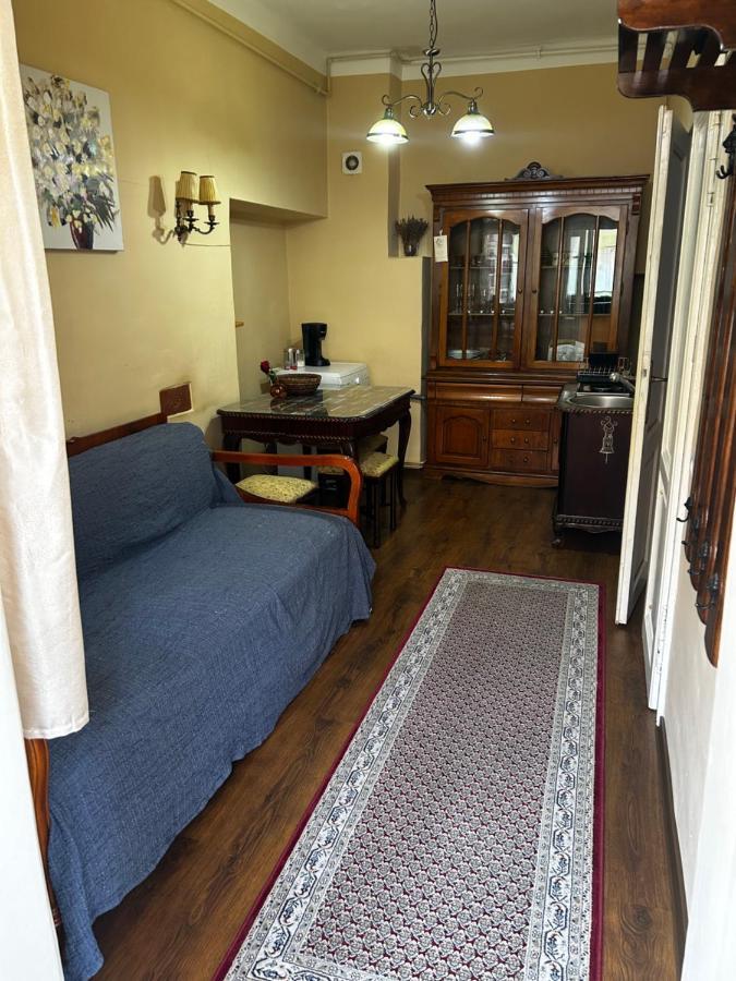 Dominic Studio Apartment Sibiu Exterior photo